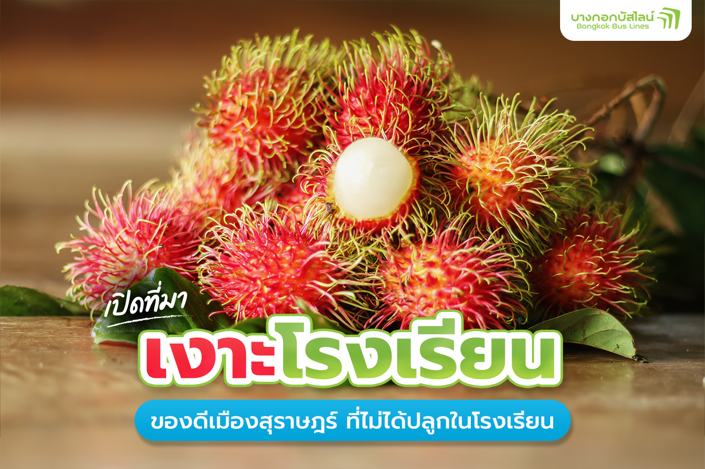 นั่งรถไปสุราษฎร์ธานี ไปกินเงาะโรงเรียน